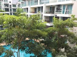 Whitehaven (D5), Apartment #458850811